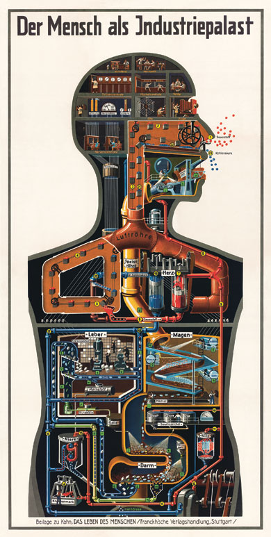 The 1926 illustration “Man as Industrial Palace” appears in the new monograph “Fritz Kahn – Man Machine.” Originally it appeared in Kahn’s “Life of Man, Vol. III.”